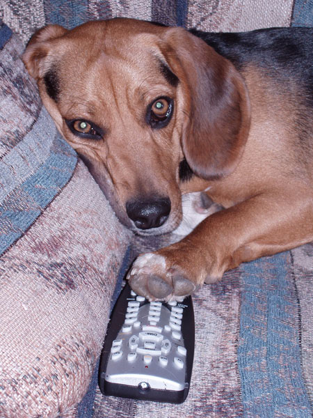 Snoopy with Remote