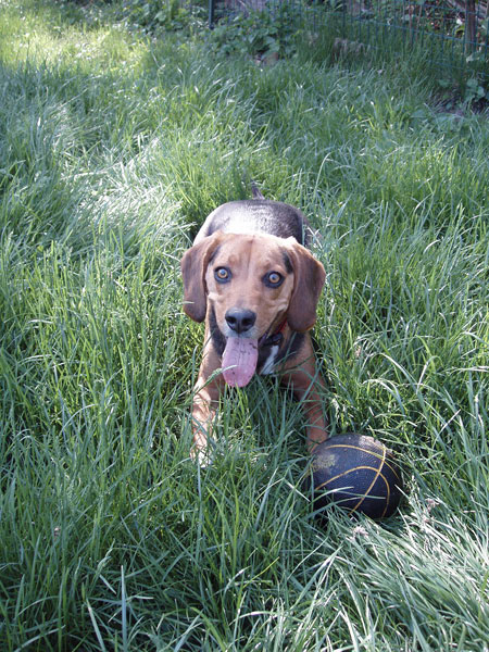 Snoopy with ball