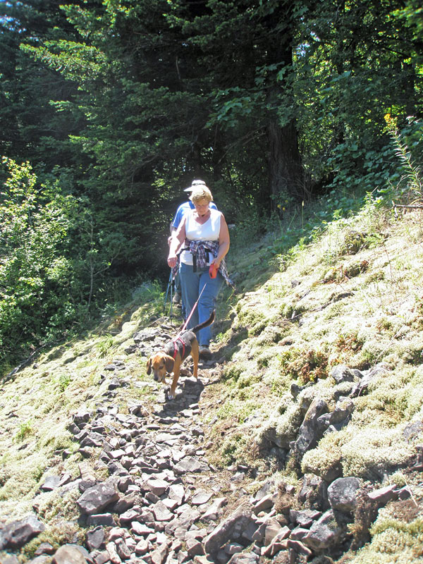 RockClimbing